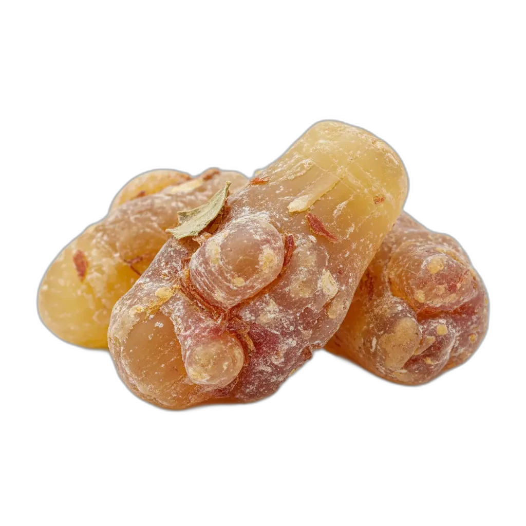 Boswellia serrata — traditionelt urteekstrakt fra Indien